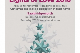 Lights of Love Tree Dedication for Isabel Hospice
