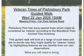 Veteran Trees of Pishiobury Park Guided Walk 22/01/25