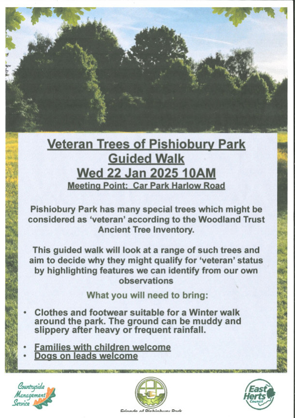 Veteran Trees of Pishiobury Park Guided Walk 22/01/25